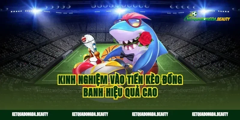 Kinh nghiệm vào tiền kèo đồng banh hiệu quả cao